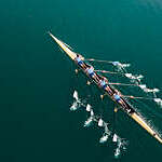 Four male athletes sculling on lake in sunshine.