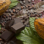 Cocoa composition with two real cacao fruits, cacao leaves, nibs and dark chocolate chunks in the center, showing the different stages of chocolate. Horizontal photography. Top View. Close-up. Studio shot. No people.