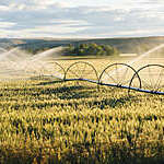 Irrigation system watering crops on farm field